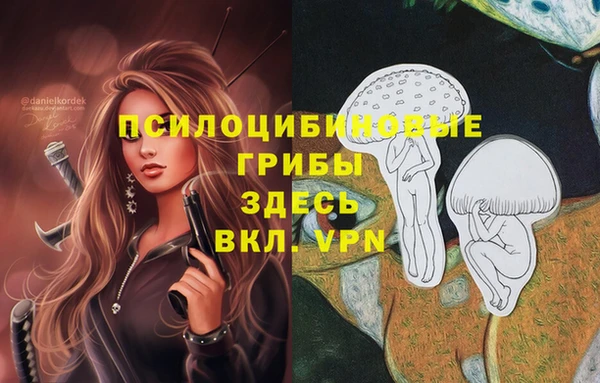 не бодяженный Переславль-Залесский