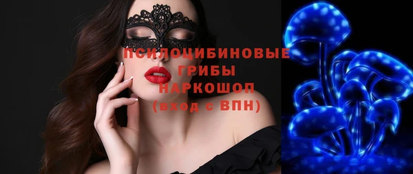 трава Пересвет