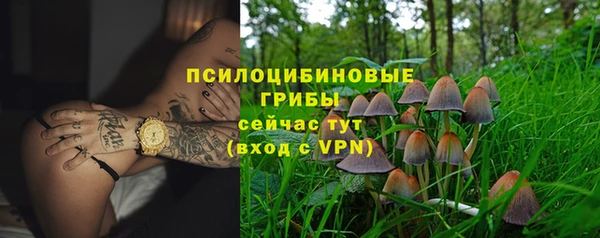 ECSTASY Верхний Тагил