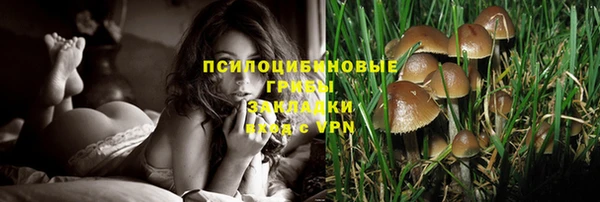 ECSTASY Верхний Тагил